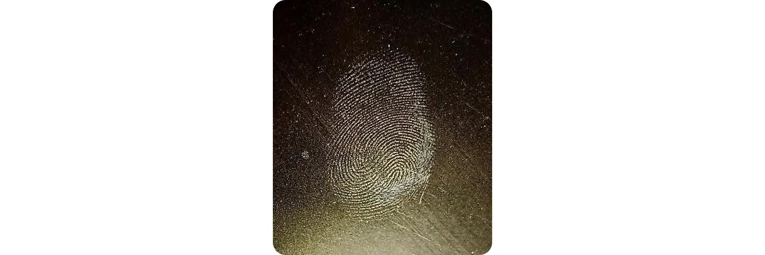 Sweat and fat fingerprint on glossy surface in oblique white light